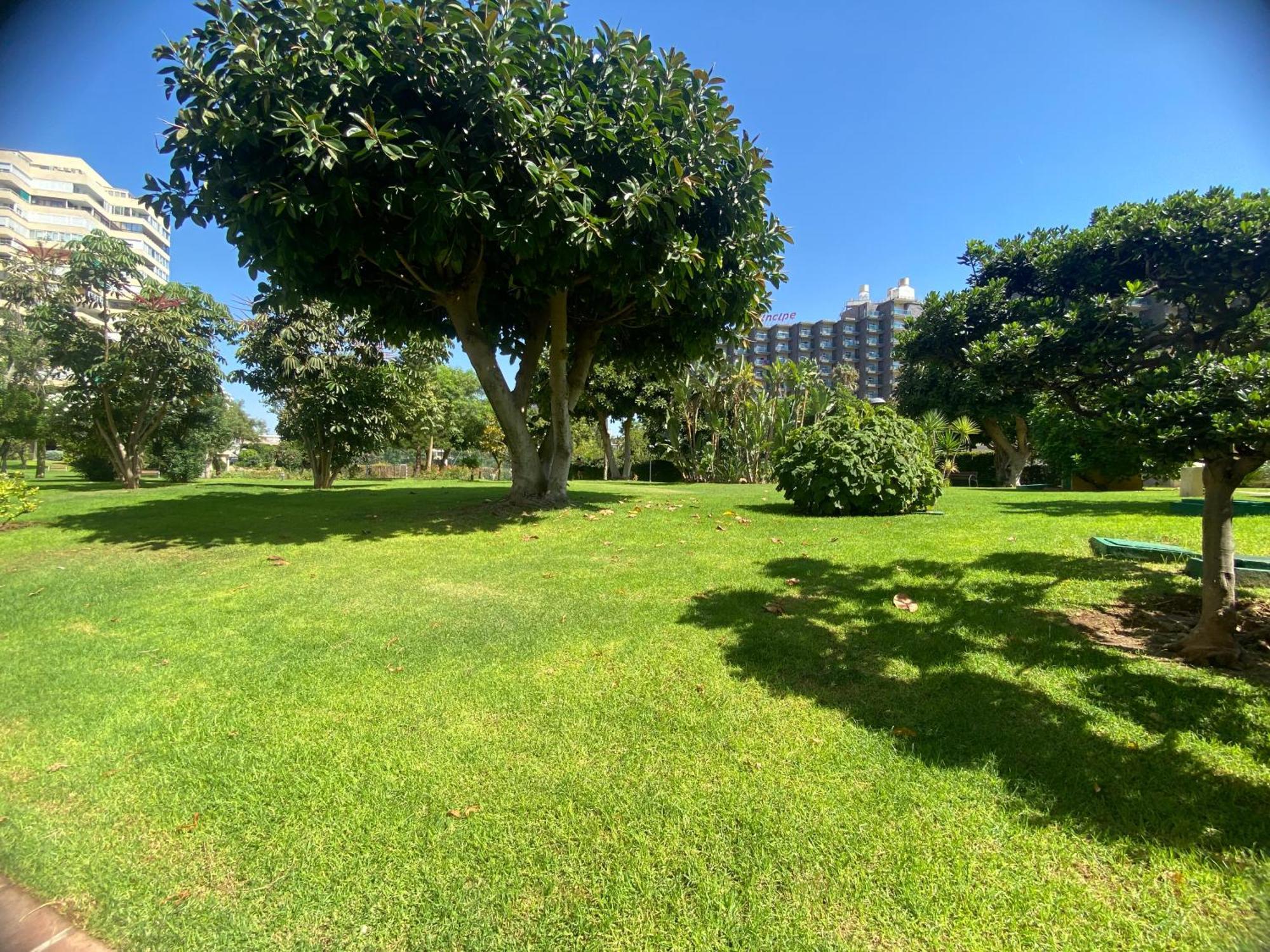Appartement Playamar Primera Linea Front De
